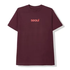 Anti Social Social Club Seoul Tee Maroon ||Plus Discount