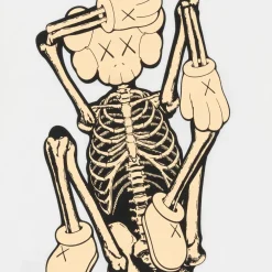 Kaws Skeleton New Fiction T-Shirt White | PLUS|Plus2 Best