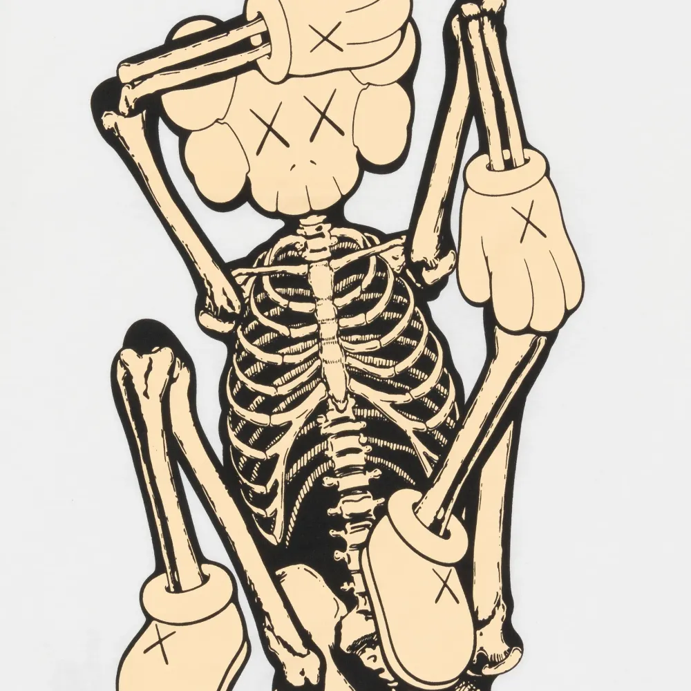 Kaws Skeleton New Fiction T-Shirt White | PLUS|Plus2 Best