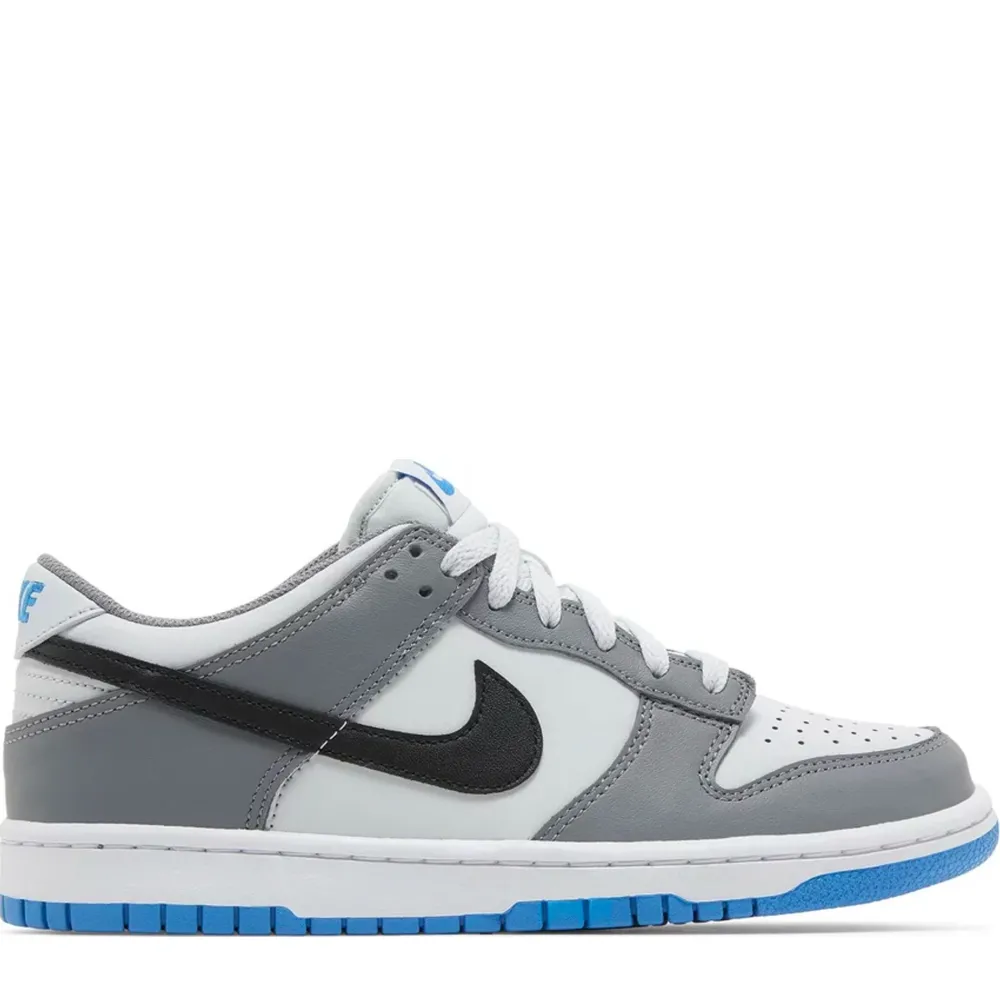 Nike Dunk Low Cool Grey Light Photo Blue (GS)|Plus Online