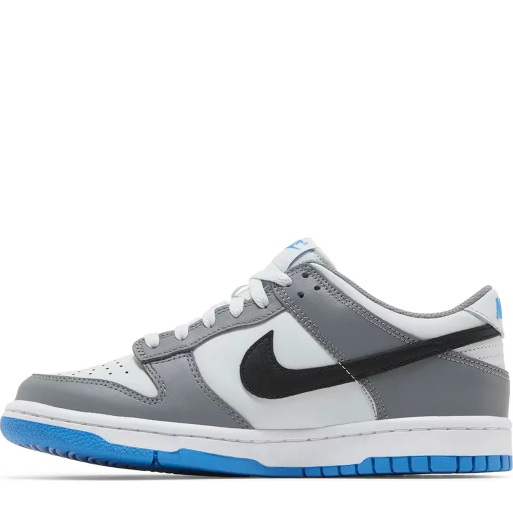 Nike Dunk Low Cool Grey Light Photo Blue (GS)|Plus Online