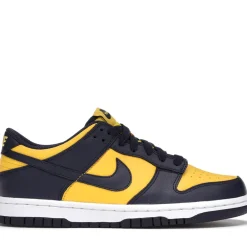Nike Dunk Low Michigan (GS) ||Plus Hot