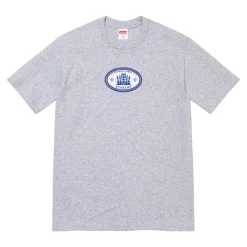 Supreme Experientia Tee Grey ||Plus Outlet