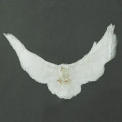 Yeezy Gap x Balenciaga Dove 3/4 Sleeve Tee Dark Green ||Plus New