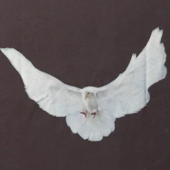 Yeezy Gap x Balenciaga Dove No Seam Tee Dark Grey ||Plus New